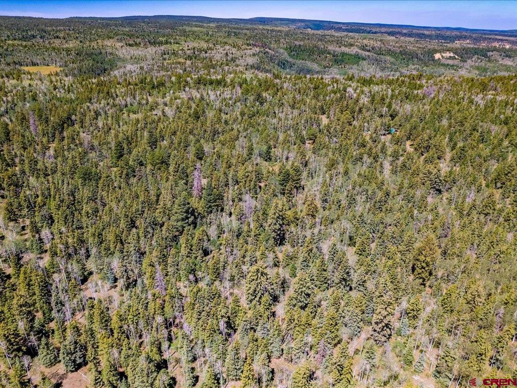 15283 Spring Creek Trail Property Photo 8