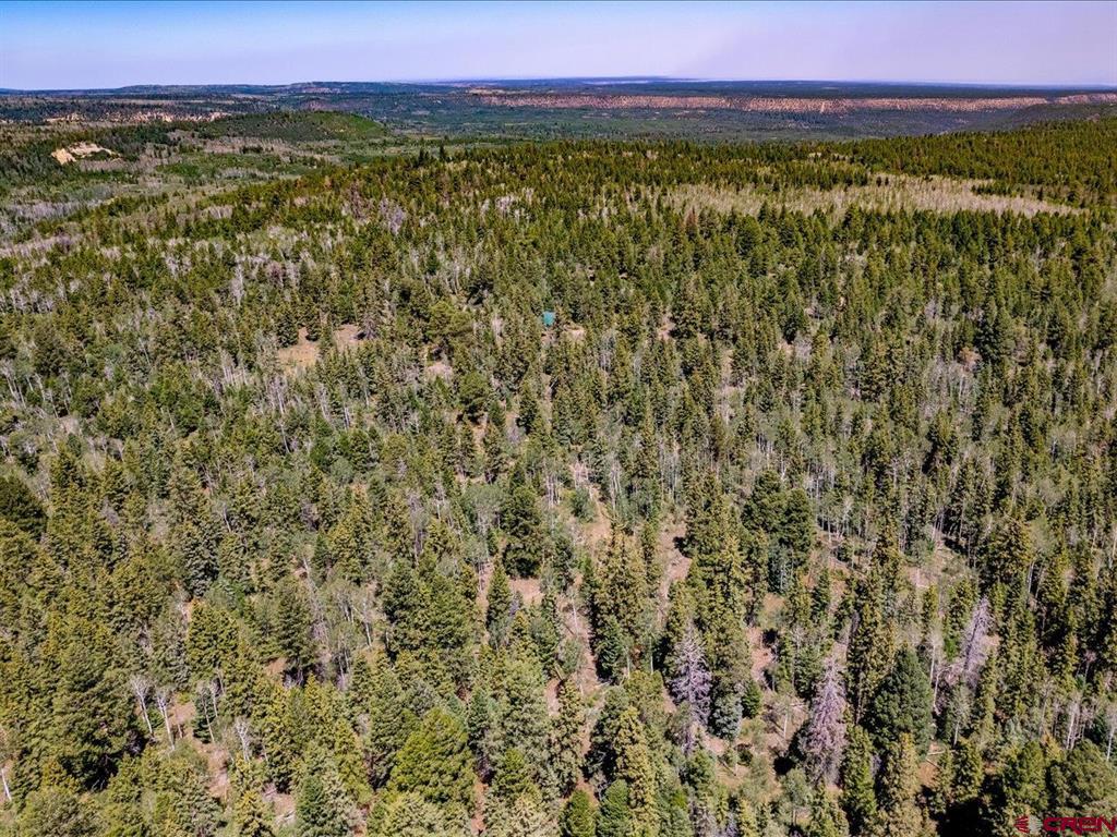 15283 Spring Creek Trail Property Photo 10
