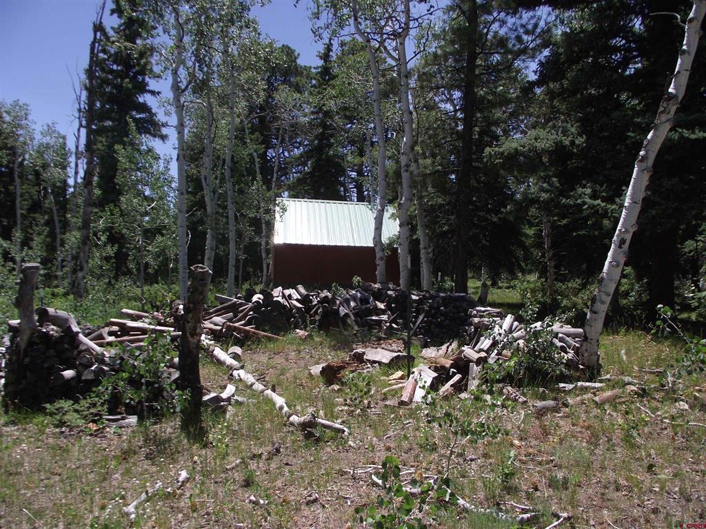 15283 Spring Creek Trail Property Photo 12