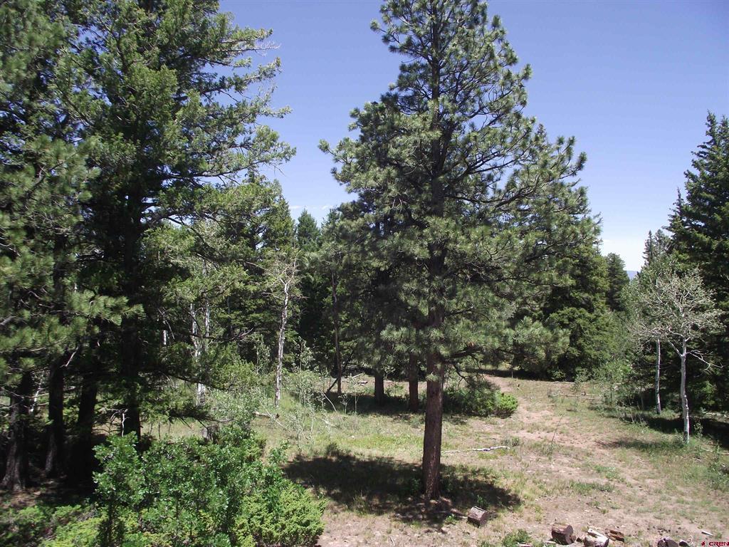 15283 Spring Creek Trail Property Photo 23