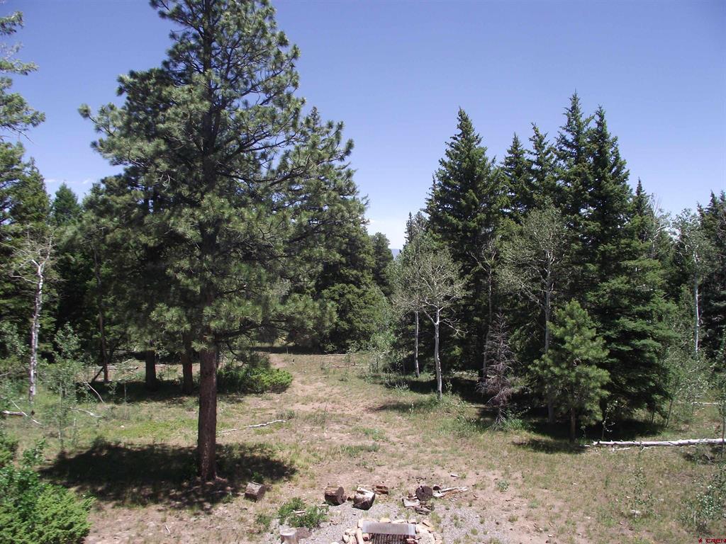 15283 Spring Creek Trail Property Photo 24