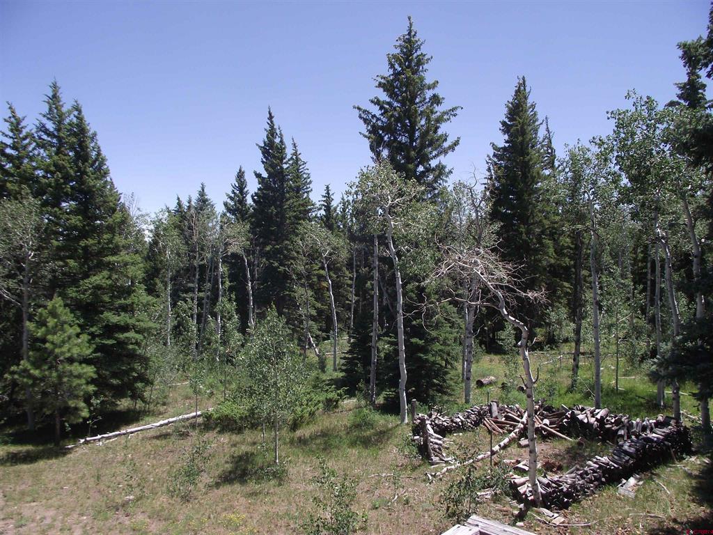 15283 Spring Creek Trail Property Photo 25
