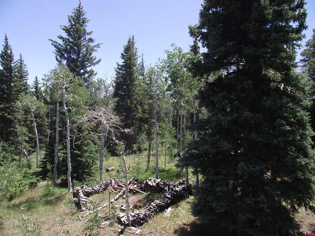 15283 Spring Creek Trail Property Photo 26