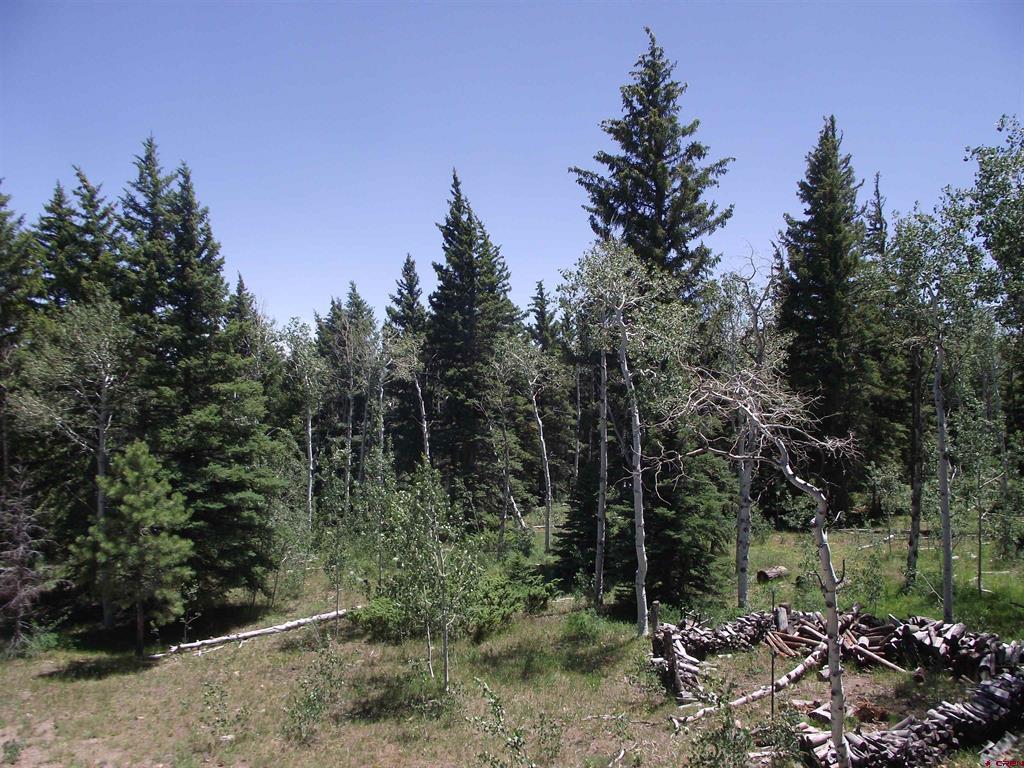 15283 Spring Creek Trail Property Photo 27