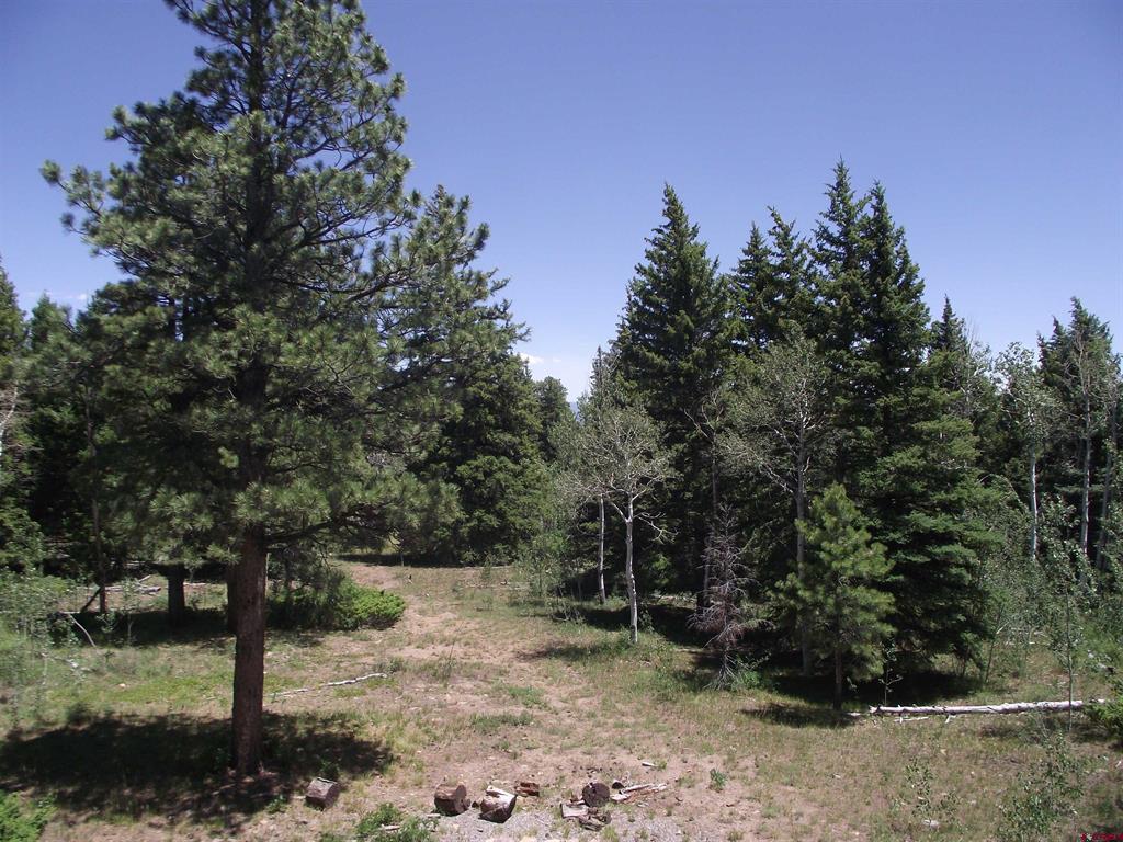 15283 Spring Creek Trail Property Photo 28