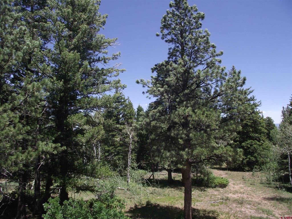 15283 Spring Creek Trail Property Photo 29