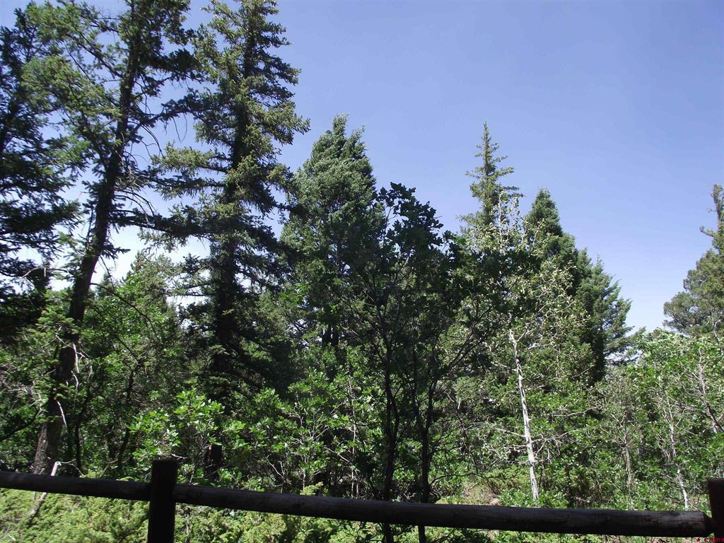 15283 Spring Creek Trail Property Photo 35