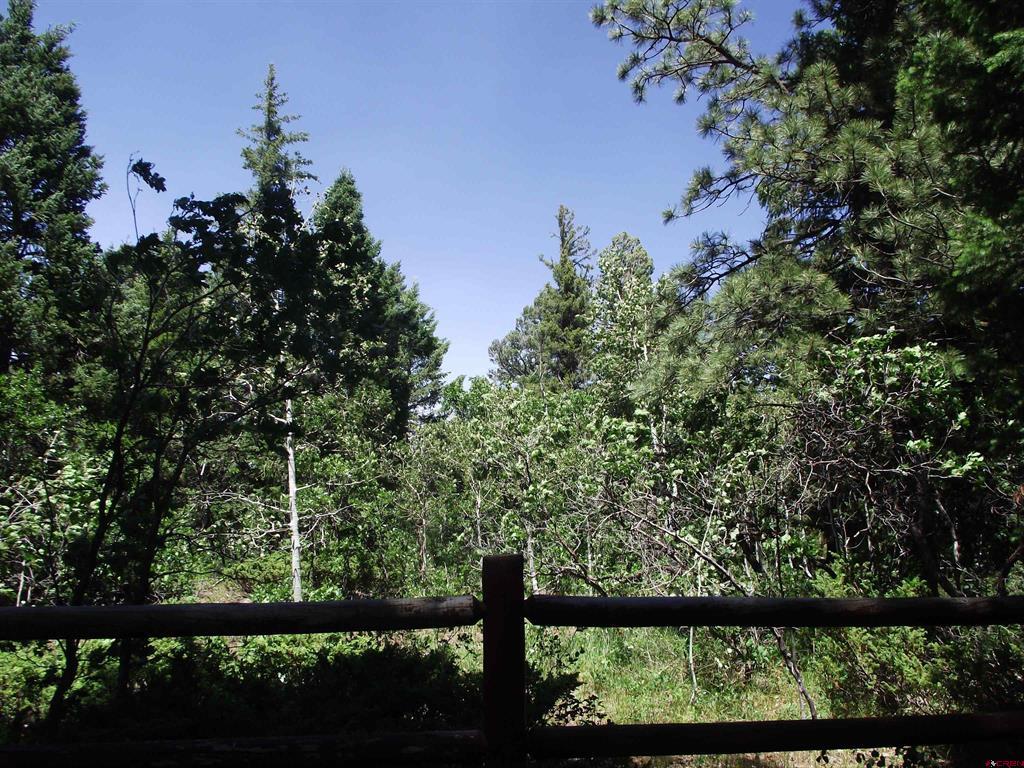 15283 Spring Creek Trail Property Photo 36