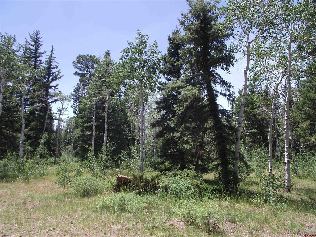 15283 Spring Creek Trail Property Photo 37