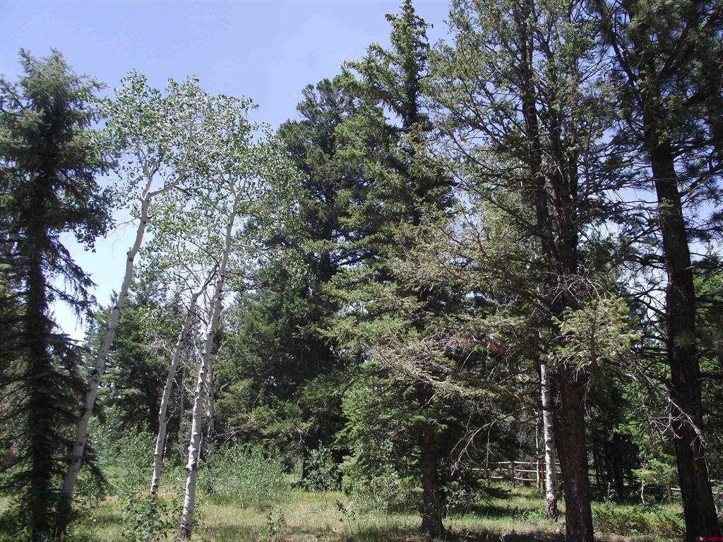 15283 Spring Creek Trail Property Photo 39