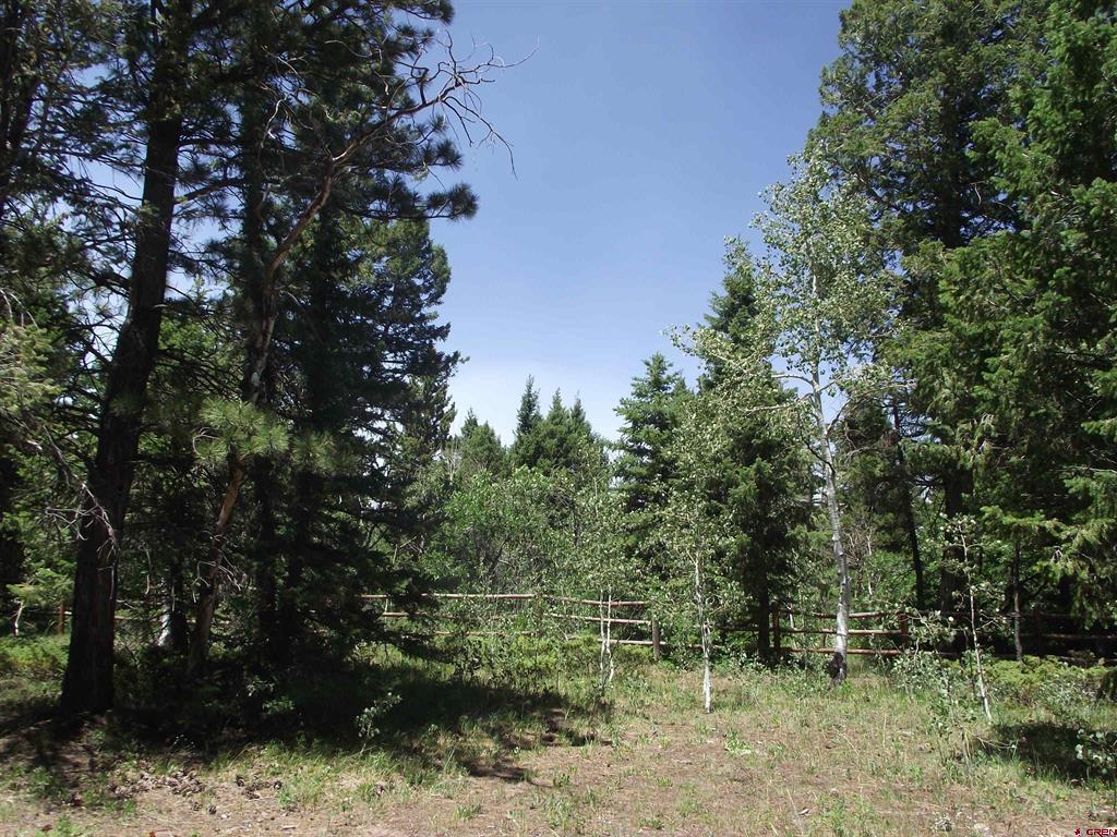 15283 Spring Creek Trail Property Photo 40