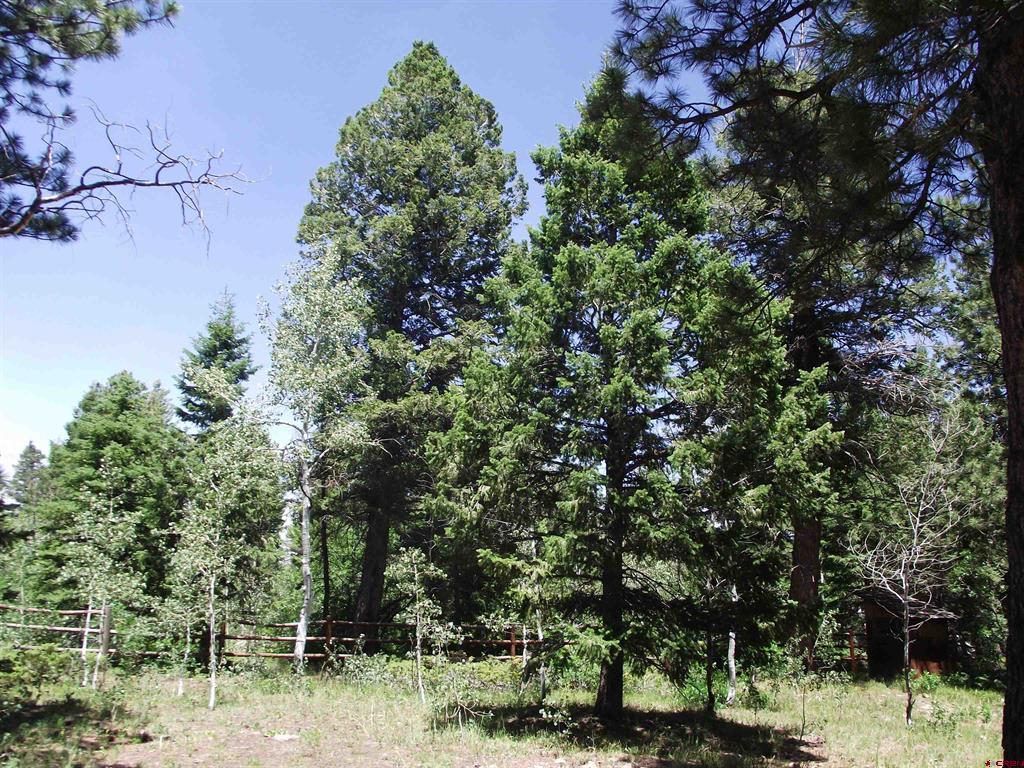 15283 Spring Creek Trail Property Photo 41