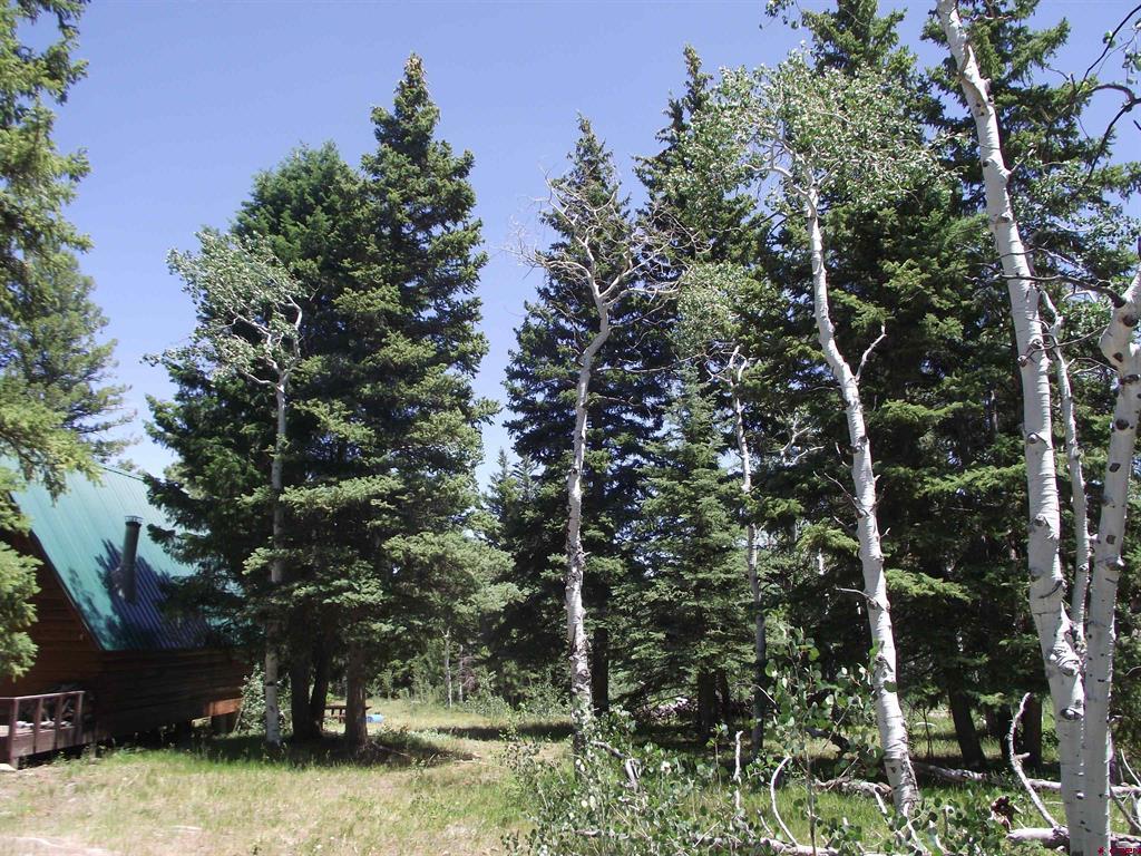 15283 Spring Creek Trail Property Photo 43