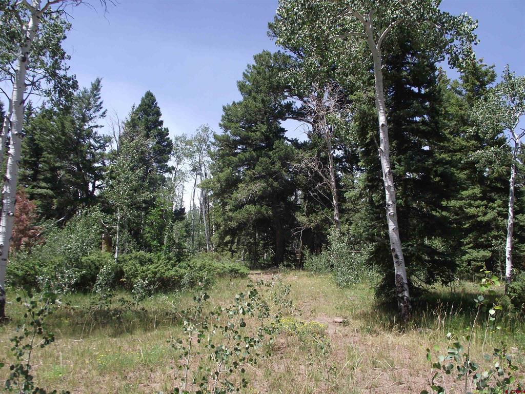 15283 Spring Creek Trail Property Photo 44