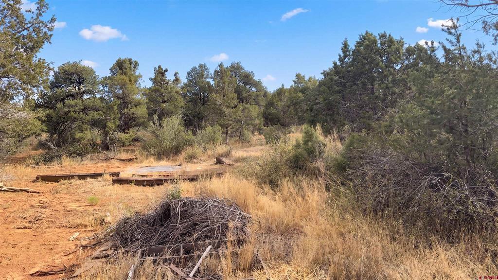 29018 Highway 160 Property Photo 21
