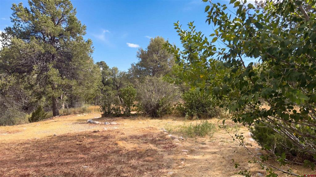 29018 Highway 160 Property Photo 22