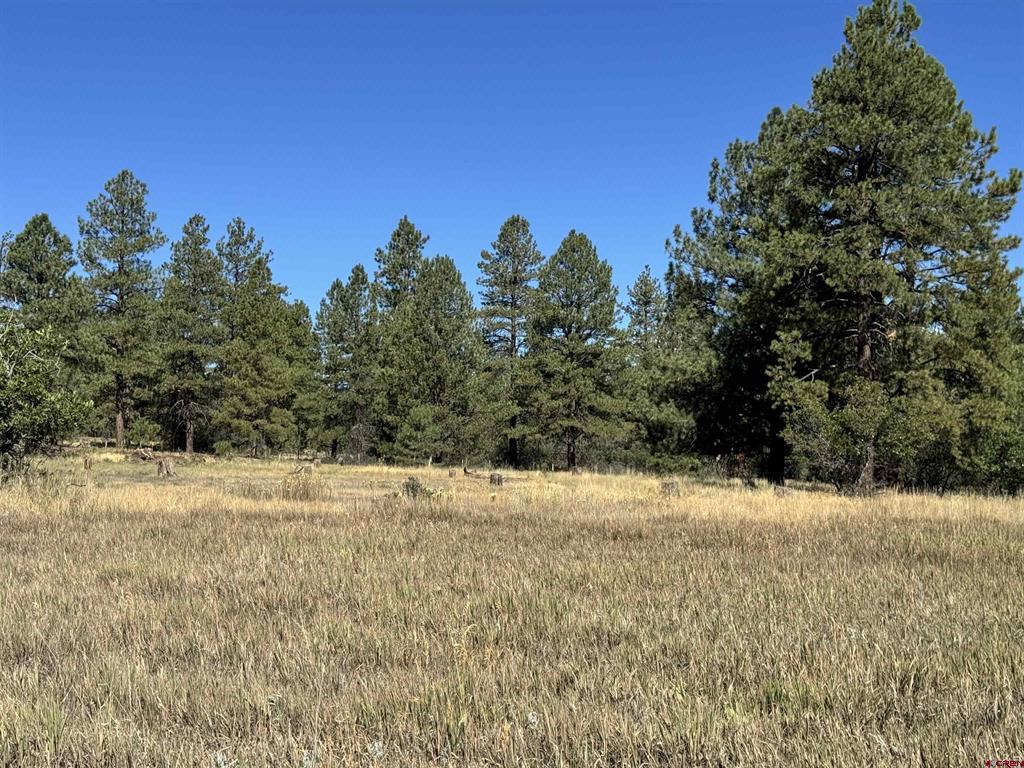 139 Coronado Circle Property Photo 1