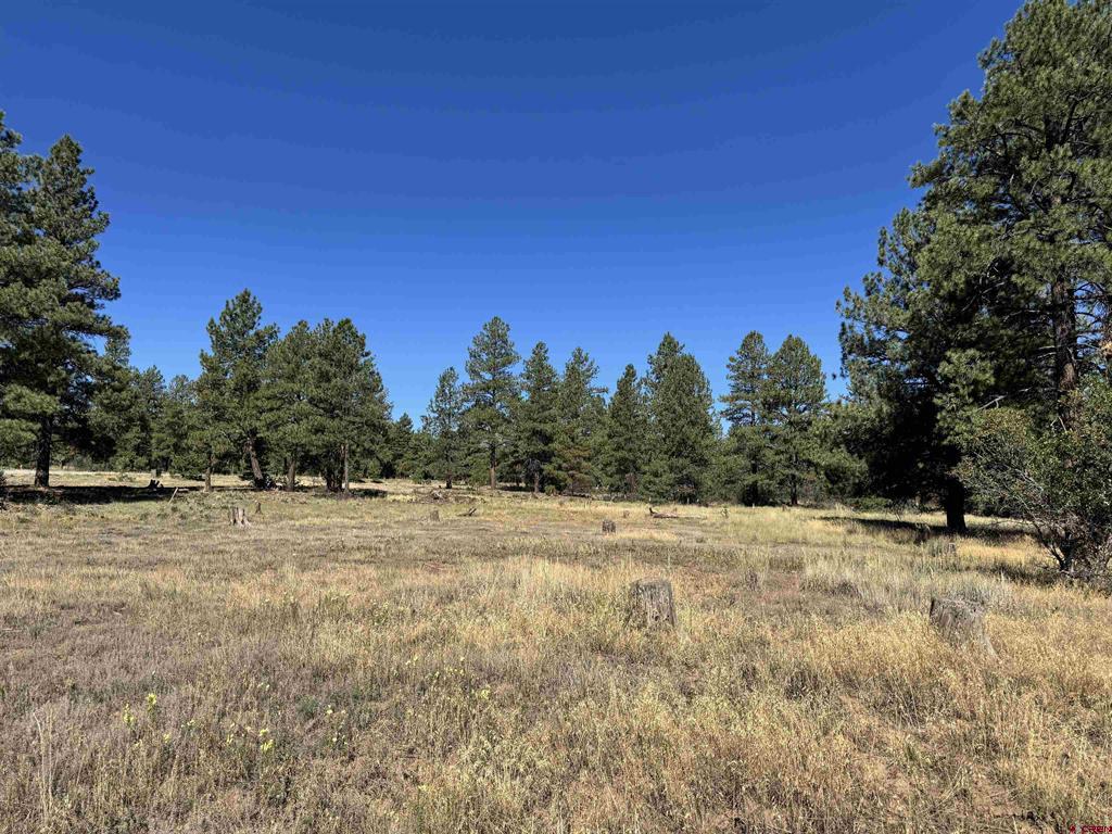 139 Coronado Circle Property Photo 14