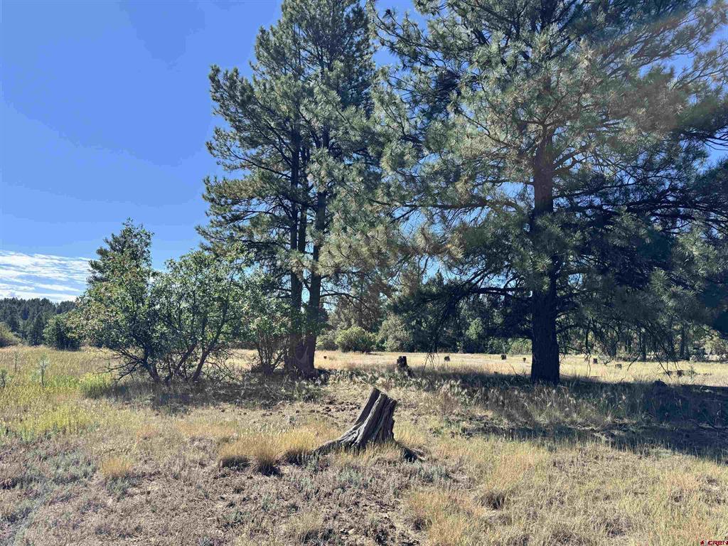 139 Coronado Circle Property Photo 18