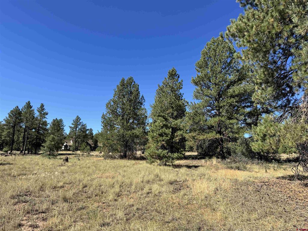 139 Coronado Circle Property Photo 19