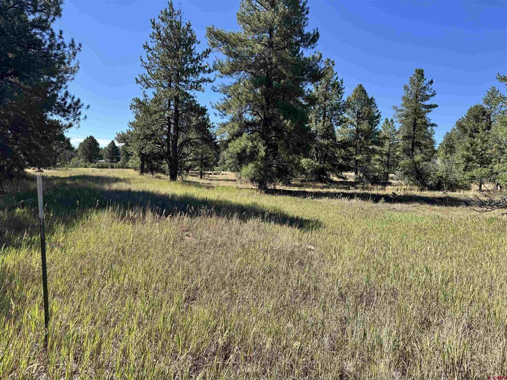 139 Coronado Circle Property Photo 21