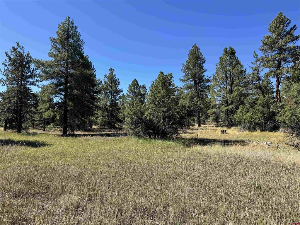 139 Coronado Circle Property Photo 22