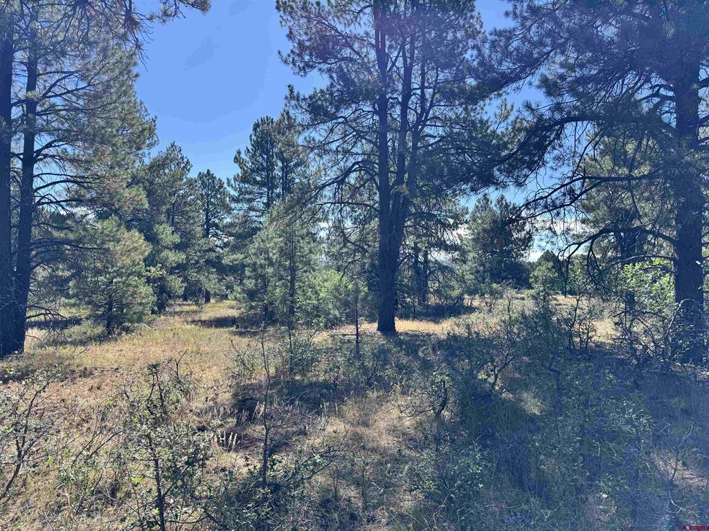 139 Coronado Circle Property Photo 24