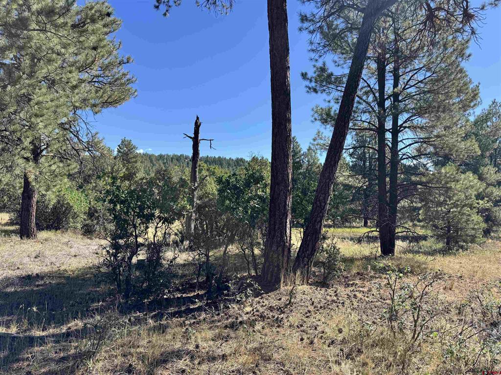 139 Coronado Circle Property Photo 25