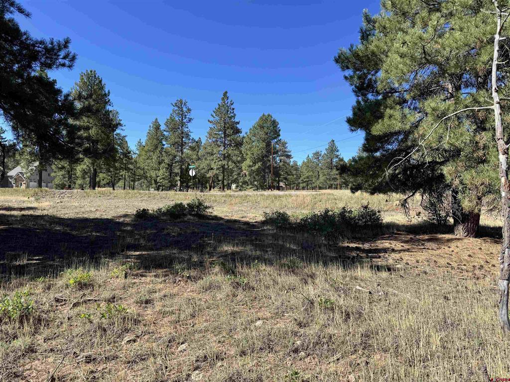 139 Coronado Circle Property Photo 26