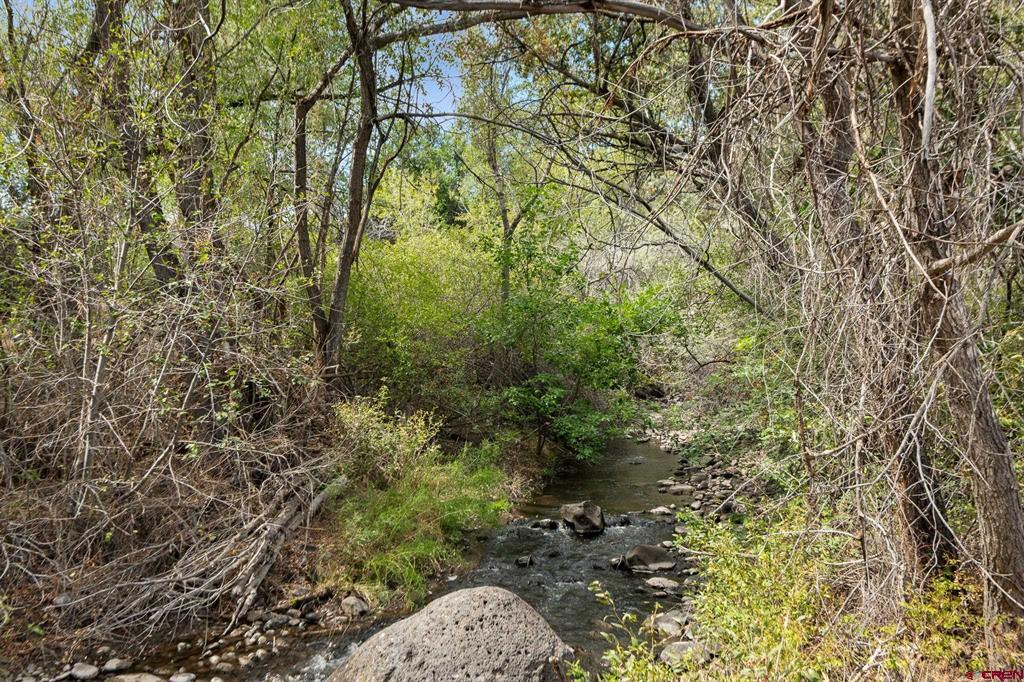 21935 Oatman Road Property Photo 40