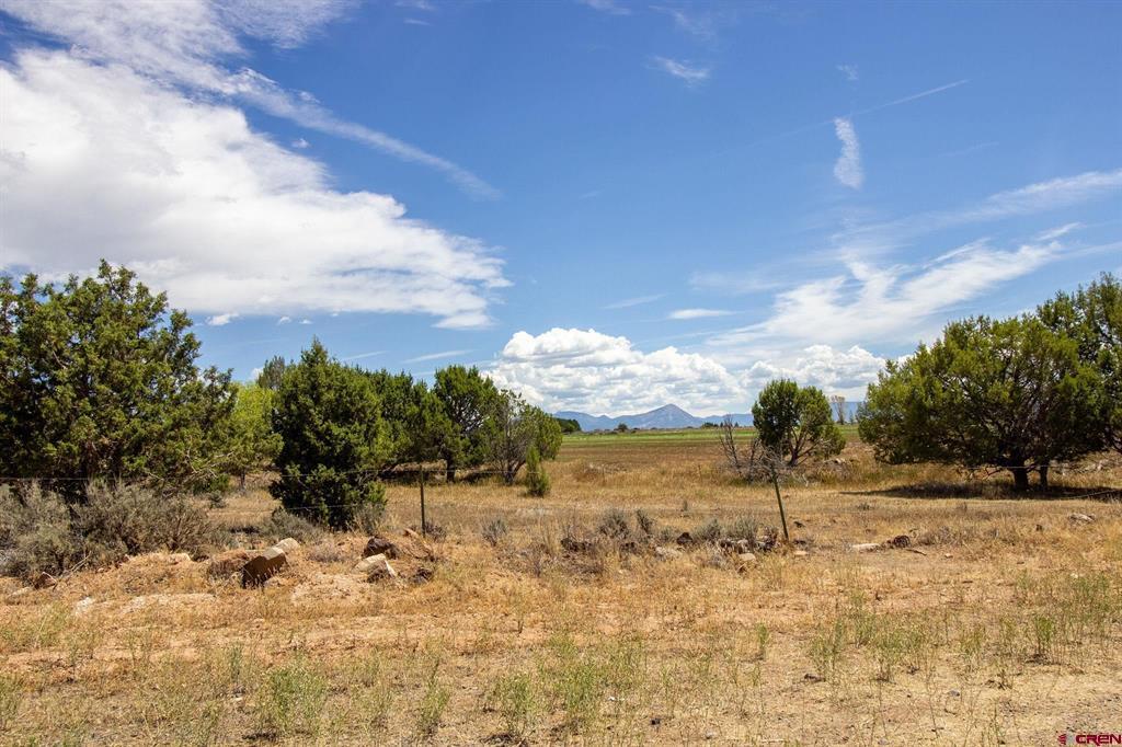 14408 2830 Road Property Photo 44