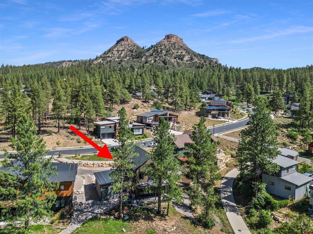 46 Larkspur Street Property Photo 41