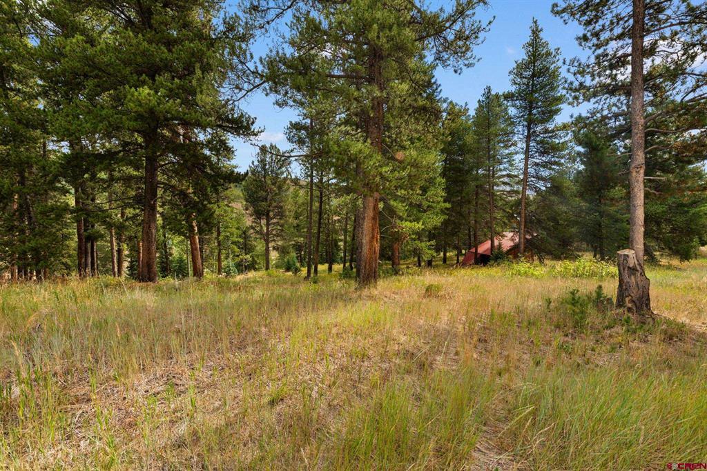 506 Nicholson Lake Ridge Road Property Photo 29
