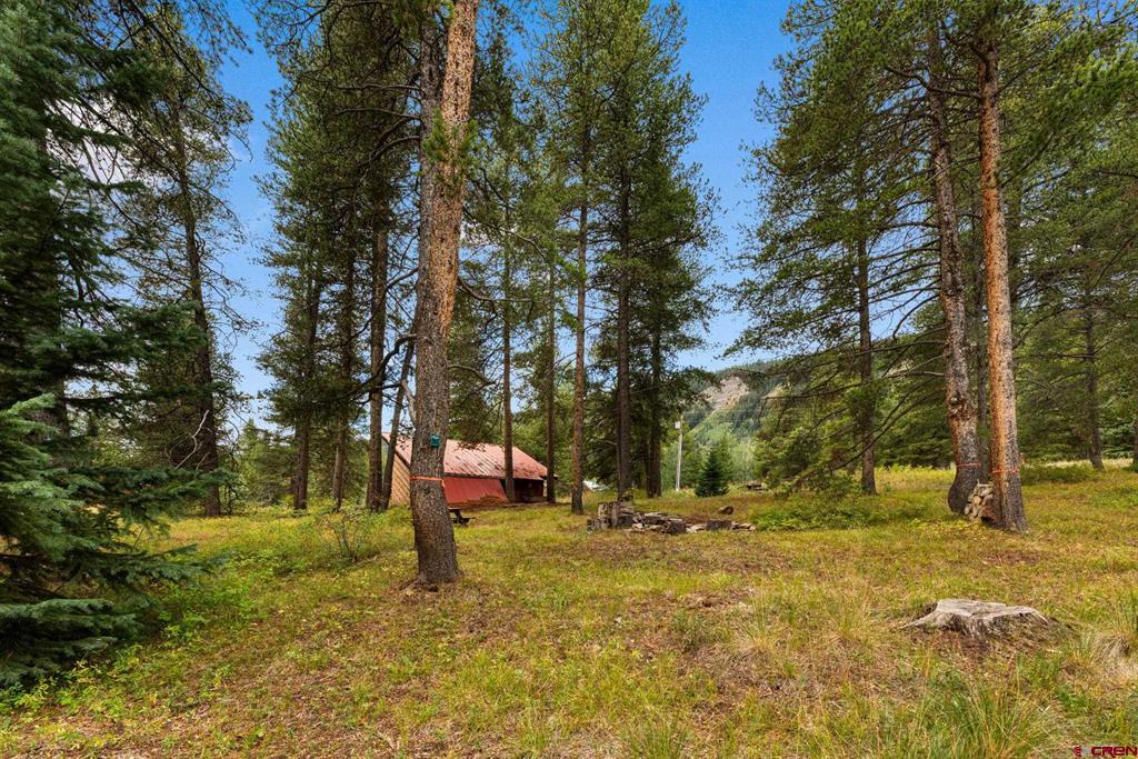 506 Nicholson Lake Ridge Road Property Photo 35