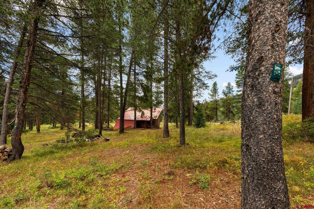 506 Nicholson Lake Ridge Road Property Photo 36