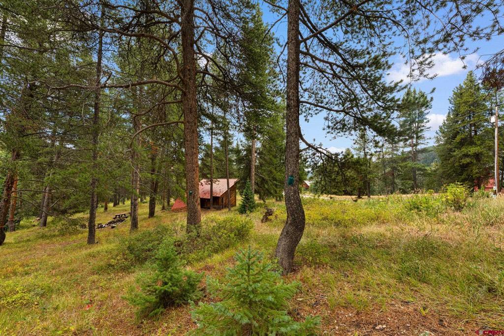 506 Nicholson Lake Ridge Road Property Photo 37