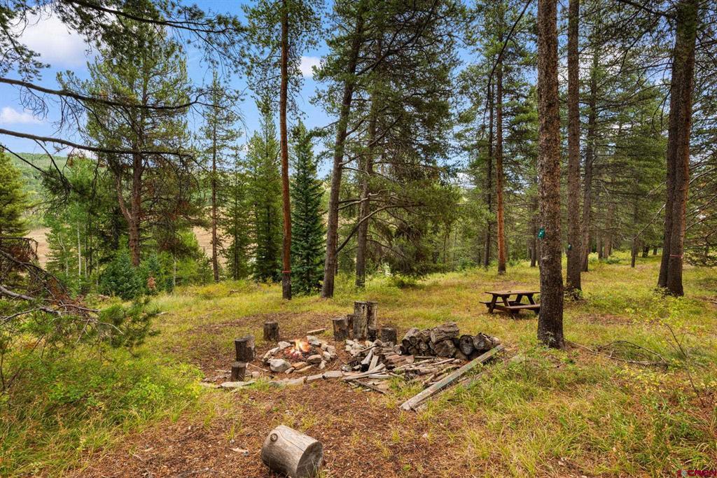 506 Nicholson Lake Ridge Road Property Photo 38