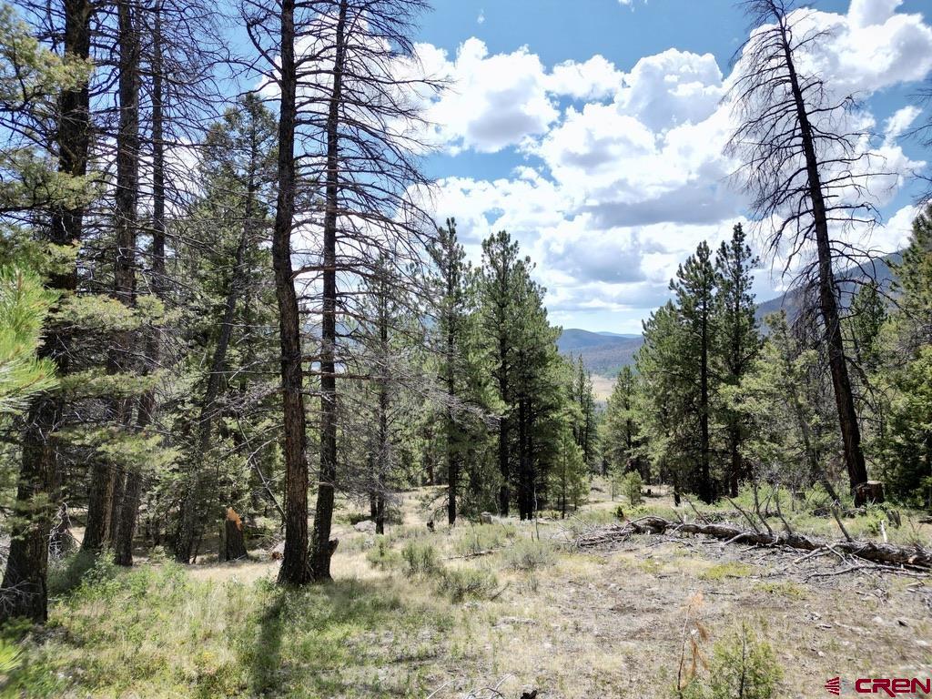 404 Forest Service Road 680.2a Property Photo 8