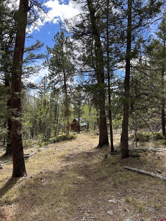 404 Forest Service Road 680.2a Property Photo 33