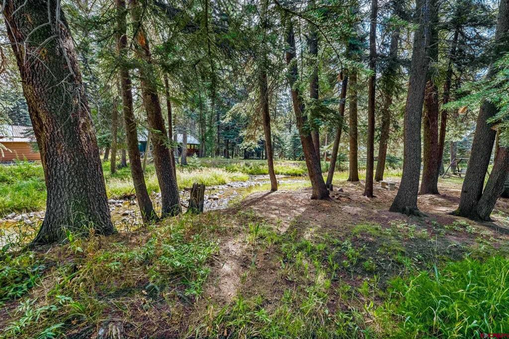 124 W Grimes Creek Road Property Photo 38