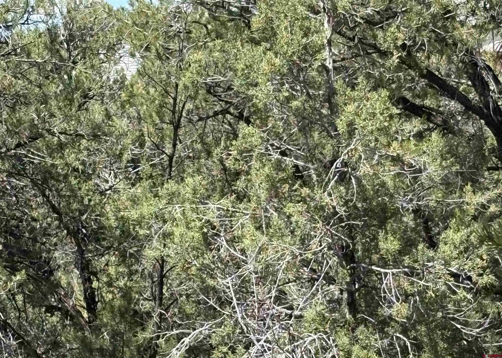 150 Deer Park Property Photo 1