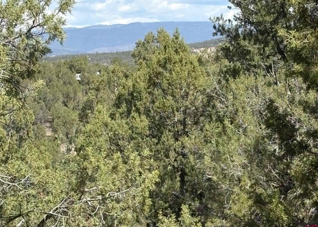150 Deer Park Property Photo 2