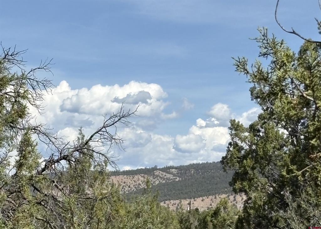 150 Deer Park Property Photo 3