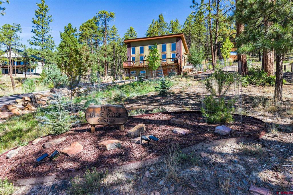 175 Blue Ridge Circle Property Photo 31