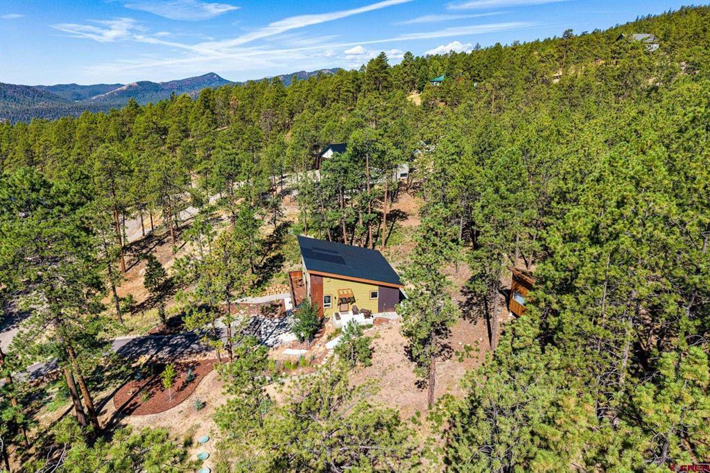 175 Blue Ridge Circle Property Photo 37