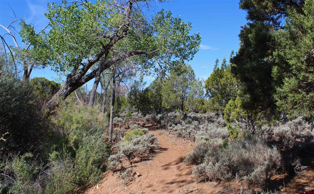28800 P 25 Road Property Photo 36