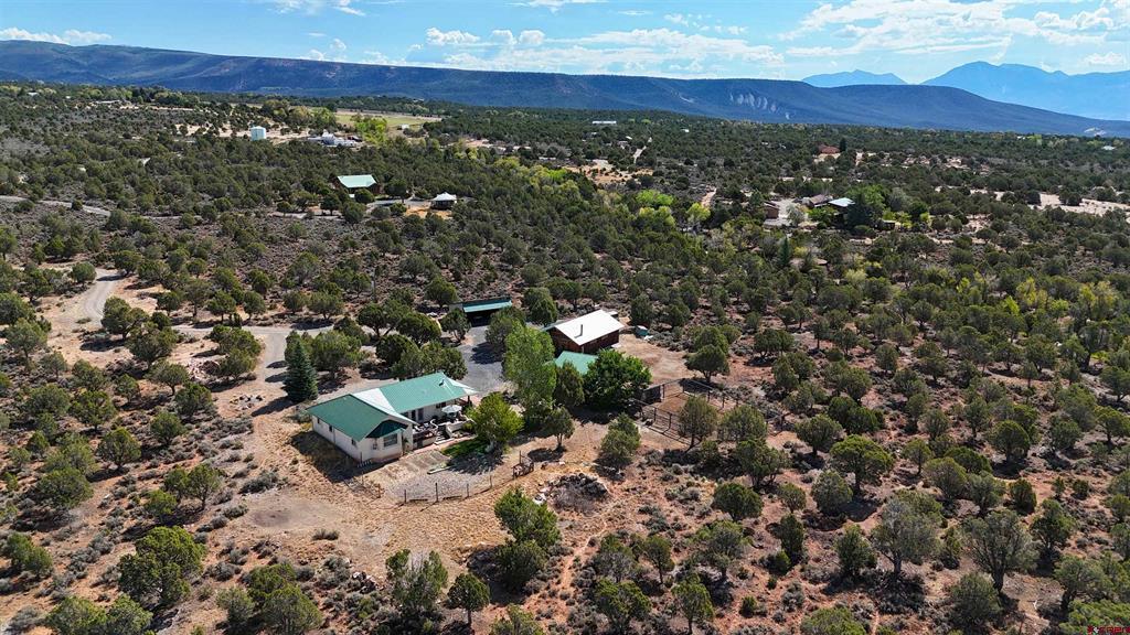 28800 P 25 Road Property Photo 41