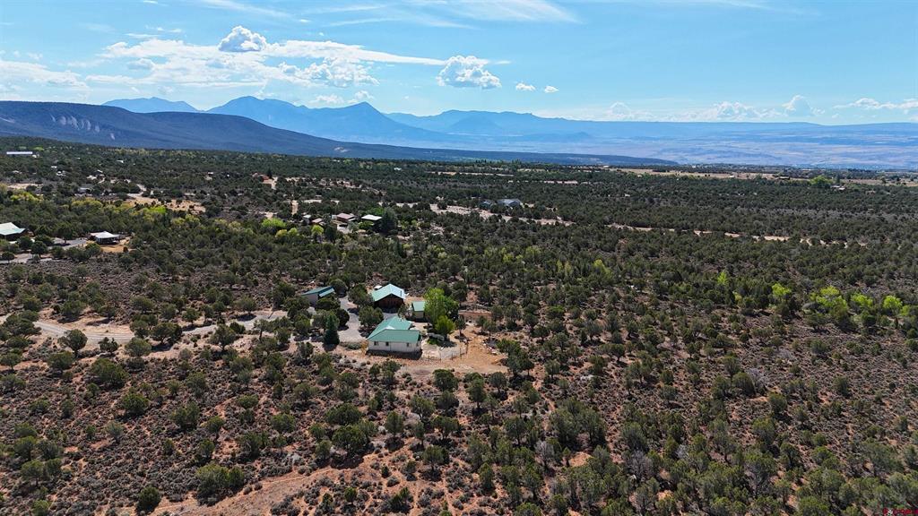 28800 P 25 Road Property Photo 43