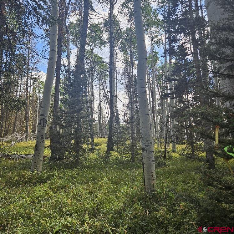 155 Aspen Trail