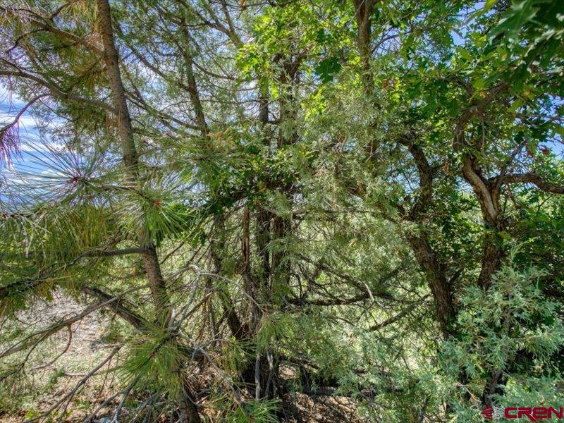 27 D Place Property Photo 3